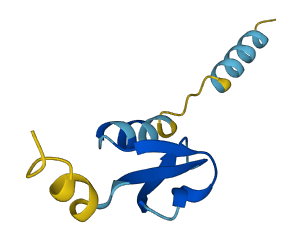 Defb40 3D structure