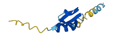 Defb39 3D structure