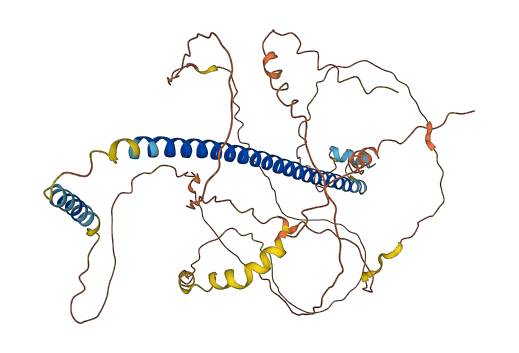 CREB3L2 3D structure