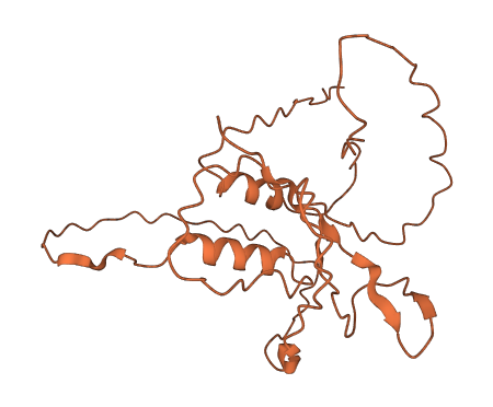 ZNF365 3D structure