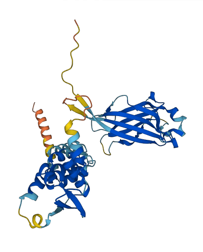 Tdpoz2 3D structure