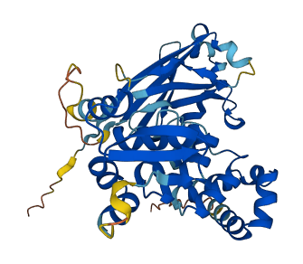 Tdpoz3 3D structure