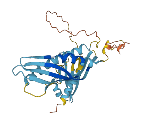 AHSA2P 3D structure