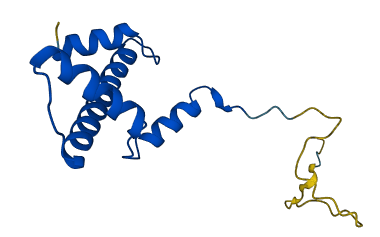 HIST2H3A 3D structure