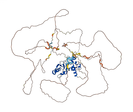 LARP4 3D structure