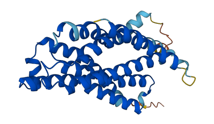 TLCD3B 3D structure