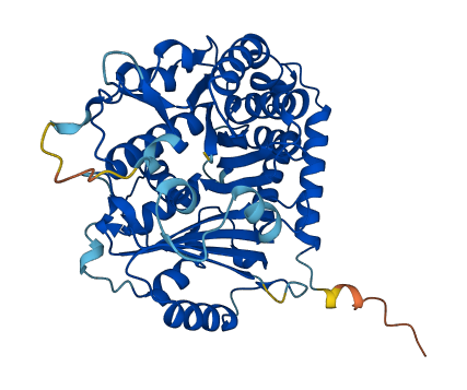 TUBA1A 3D structure