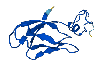 RPS27L 3D structure