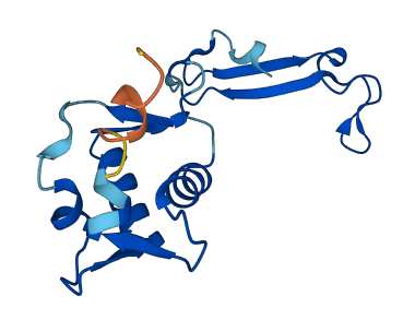 FKBP9P1 3D structure