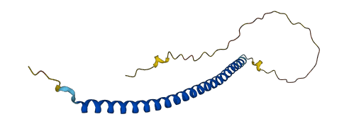 ZNF767P 3D structure