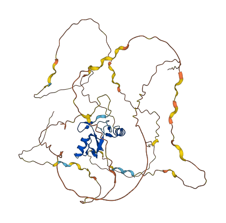 CBLL1 3D structure