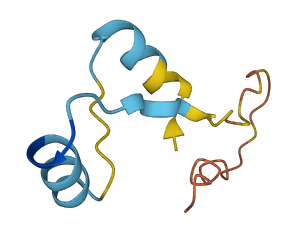 MIR17HG 3D structure