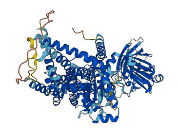 PGAP1 3D structure