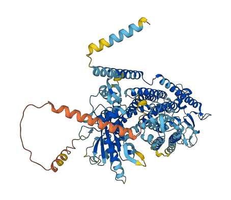 ANO5 3D structure