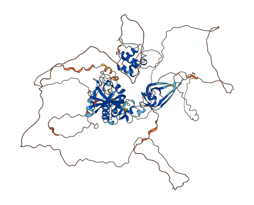 GAREM2 3D structure