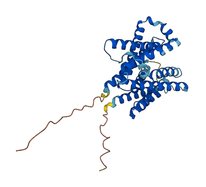 SLC35D2 3D structure