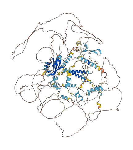 NOL8 3D structure