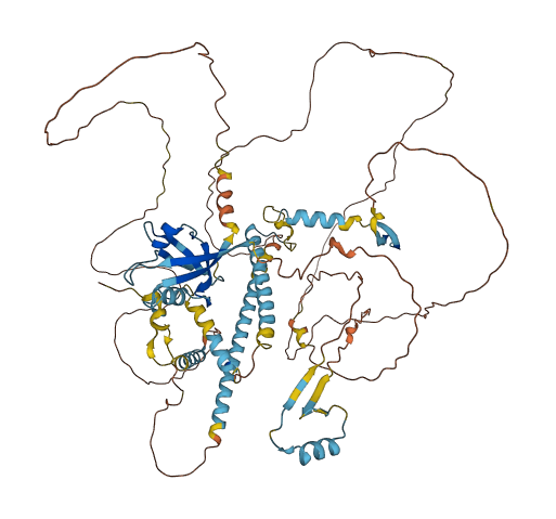 PDZD4 3D structure