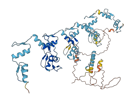 ZNF534 3D structure