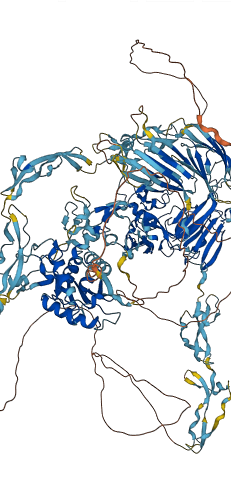 ADAMTS13 3D structure