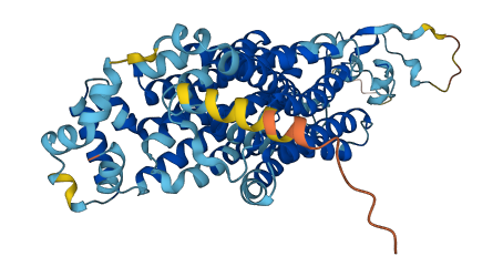 Slc22a27 3D structure
