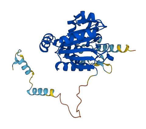 Eci3 3D structure