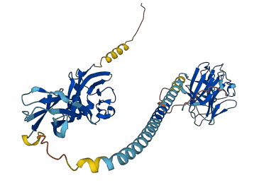 BTN2A1 3D structure