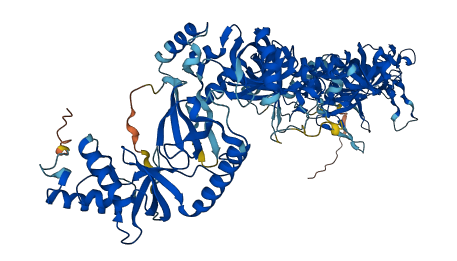 SND1 3D structure