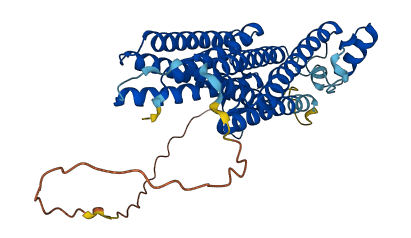 COX15 3D structure