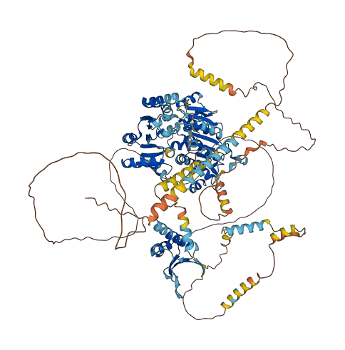 DDX46 3D structure