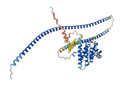 RUFY3 3D structure