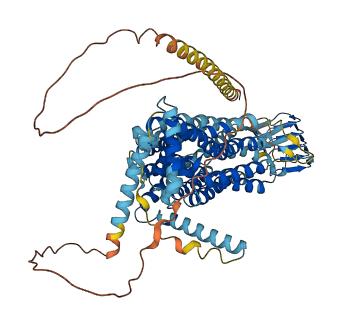 SV2A 3D structure