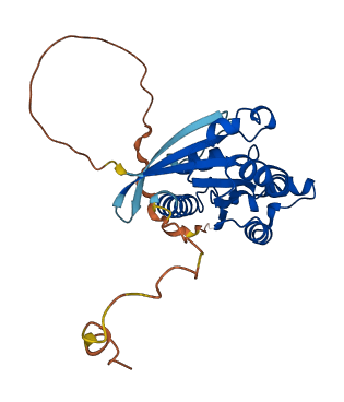 RHOU 3D structure