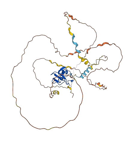 RNF44 3D structure