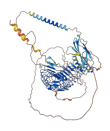 TRIL 3D structure