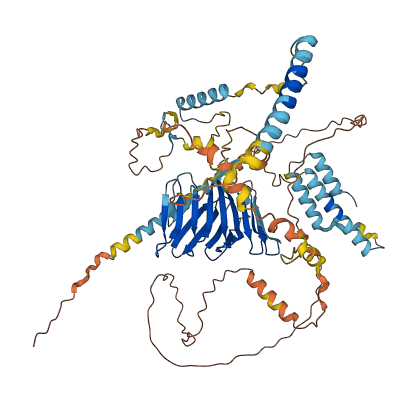 ERICH6 3D structure