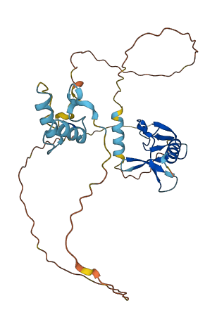 DPPA4 3D structure