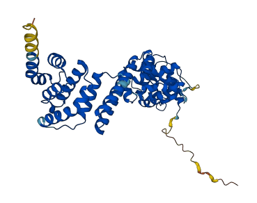 BZW1 3D structure