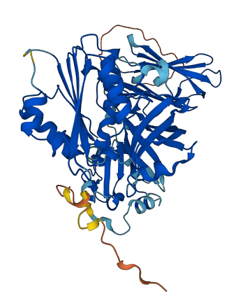 CYB5R4 3D structure