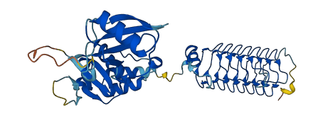 KCTD9 3D structure
