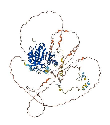 MEPCE 3D structure