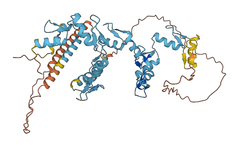 ZNF765 3D structure
