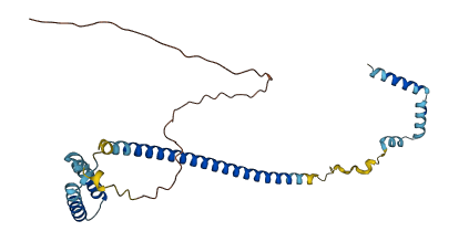 CENPQ 3D structure