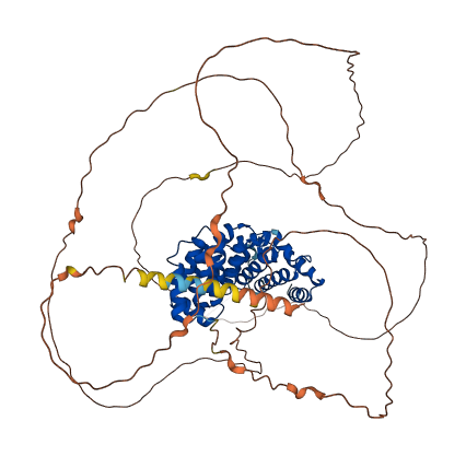 ARMCX2 3D structure