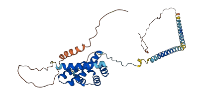 CDC37L1 3D structure