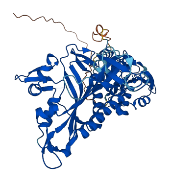 PARS2 3D structure