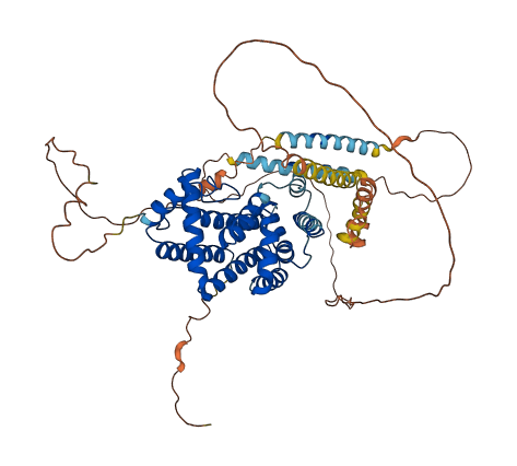 MIGA2 3D structure