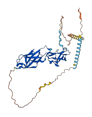 FCRLA 3D structure