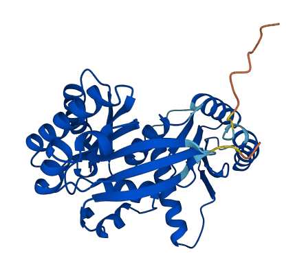 RRAGA 3D structure