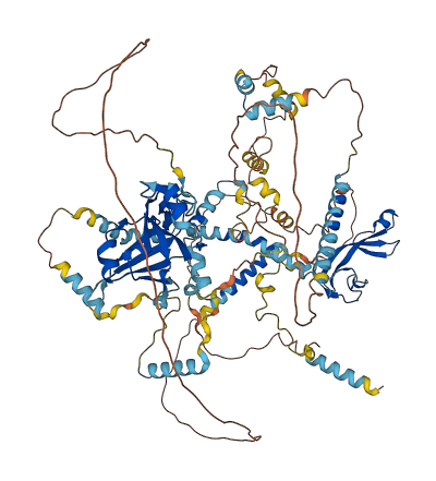 MCM10 3D structure